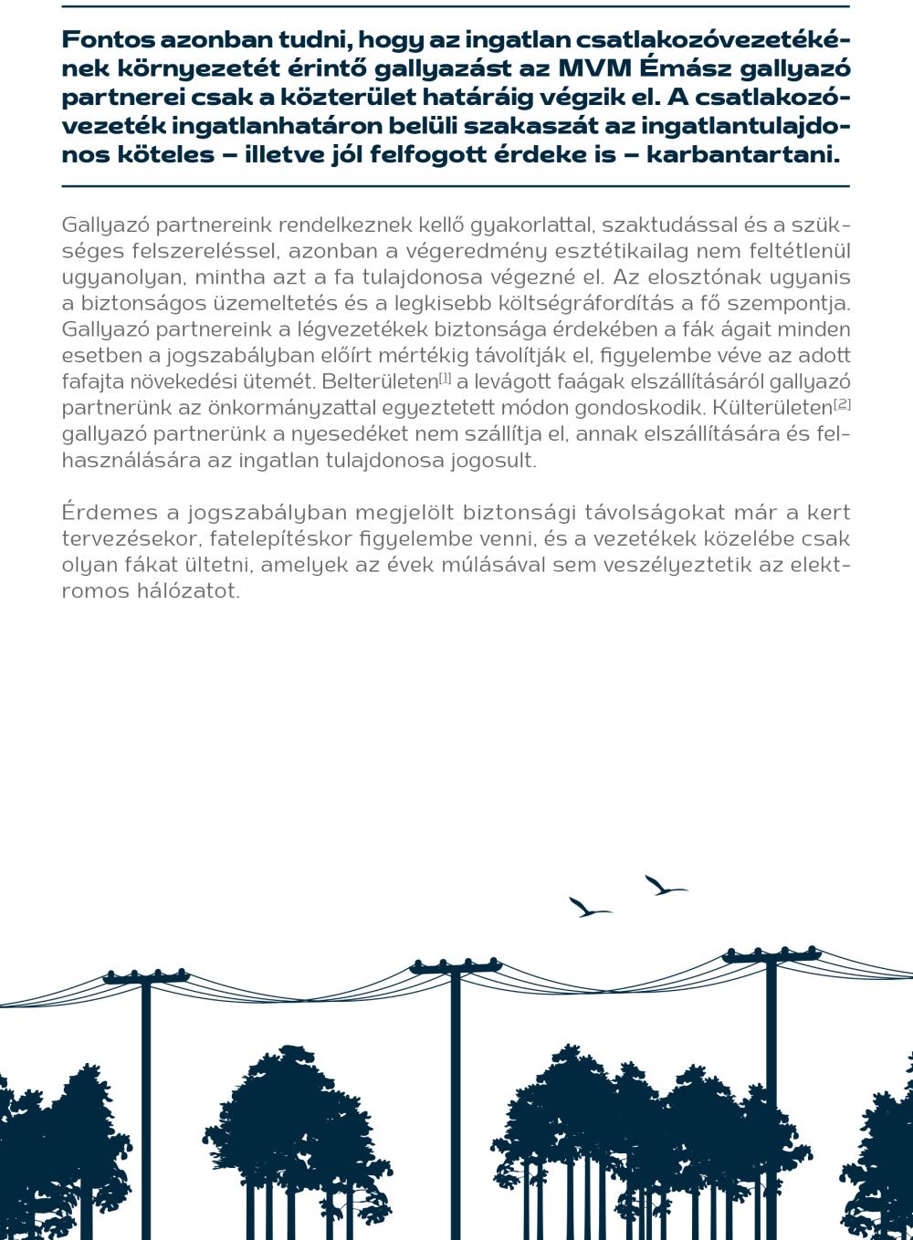 Gallyazas A Zavartalan Aramszolgaltatasert 3 Gallyazas A Zavartalan Aramszolgaltatasert 3